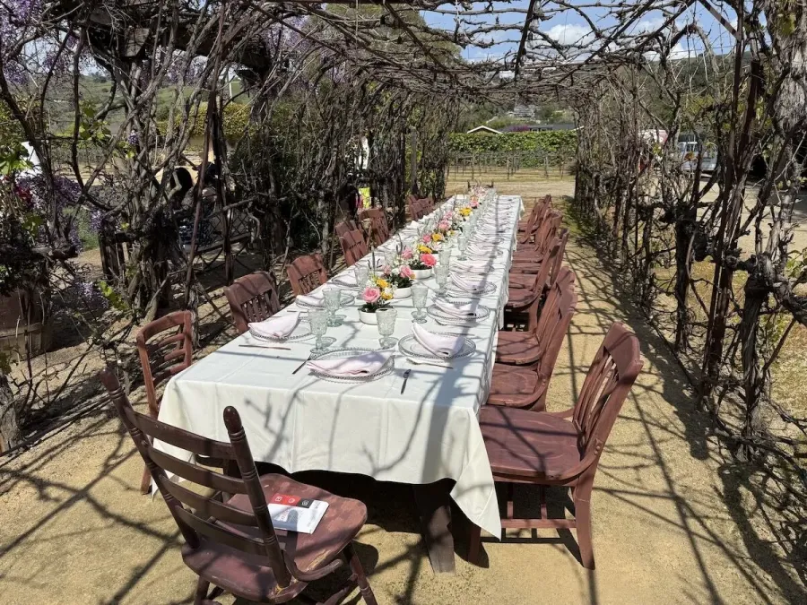 Long vineyard table set between the vines with a run of small blossom arrangements and simple settings — vineyard floral styling for Yountville catering
